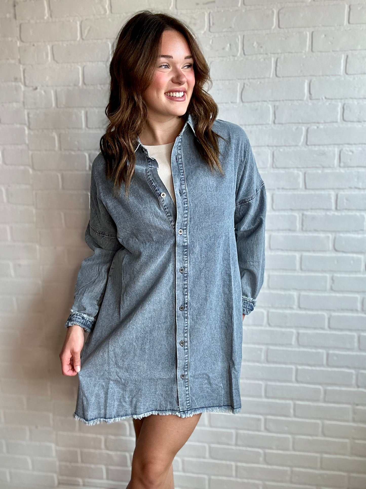 Orchard Denim Dress