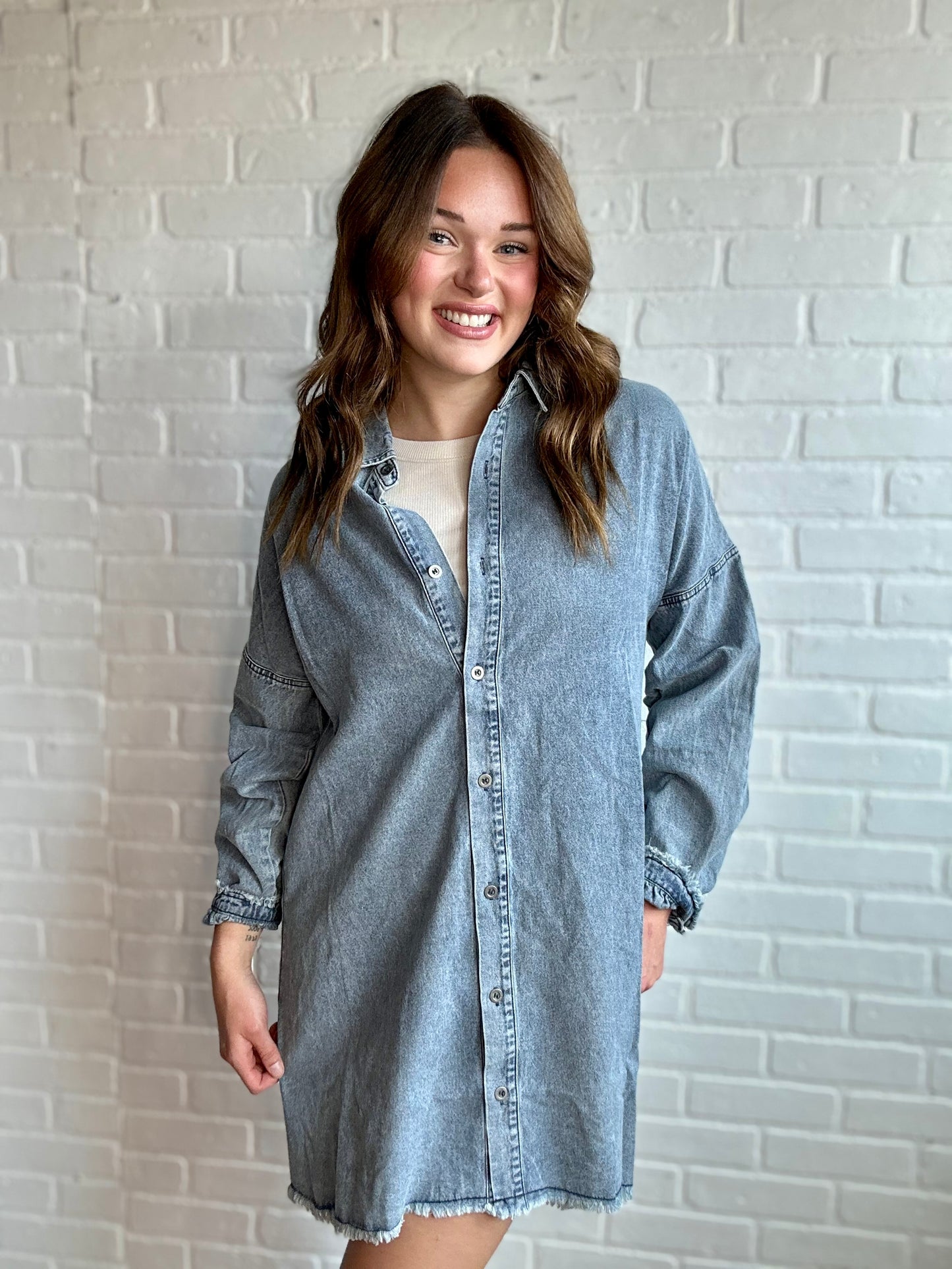 Orchard Denim Dress