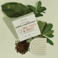 Tea Tree Kitsch Conditioner