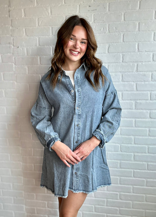 Orchard Denim Dress