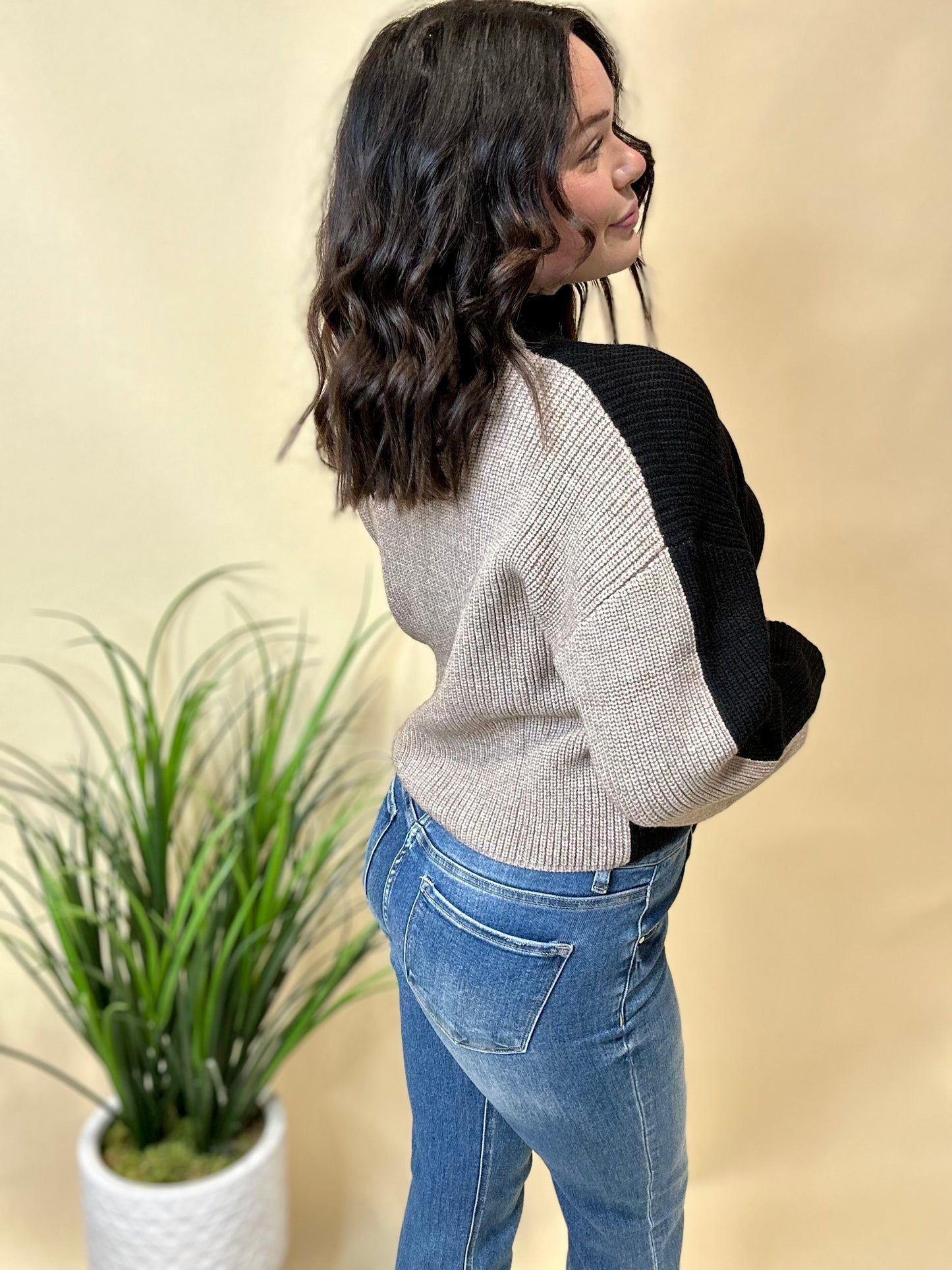 Two Tone Mock Sweater