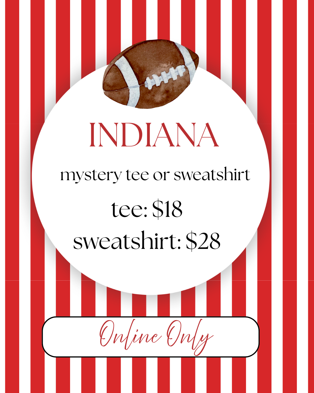 ADULT Mystery Indiana Graphic Tee OR Sweatshirt